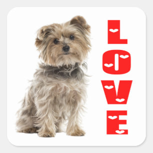 Love Yorkshire Terrier Yorkie Puppy Dog Mum Dad Square Sticker
