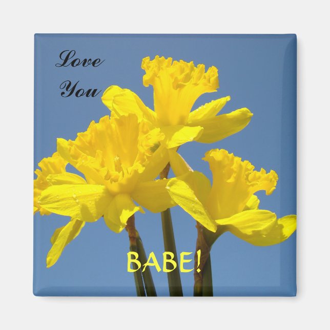 Love You BABE! magnet Yellow Daffodils Spring (Front)