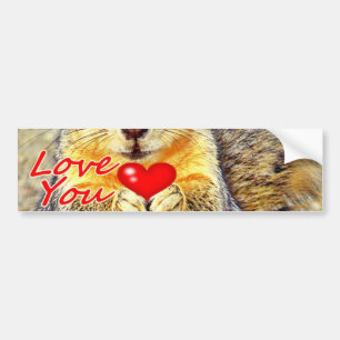 Love You_ Bumper Sticker