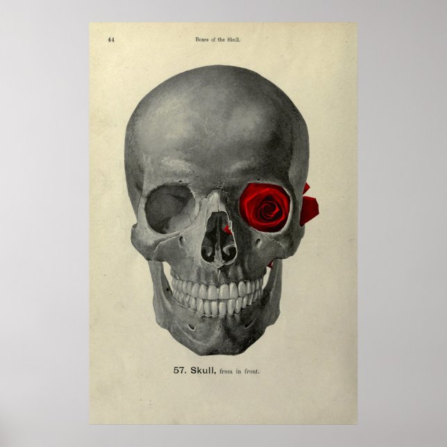 Love You Forever poster (Front)