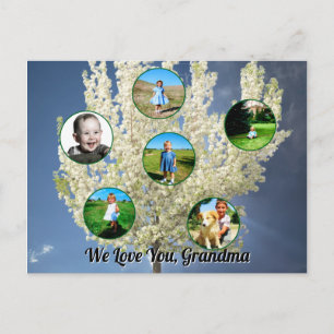Love You Grandma White Blossoming Tree Six Photos  Postcard