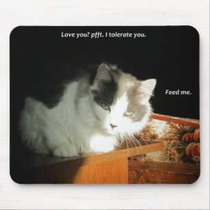 Love you? I Tolerate You Mouse Pad