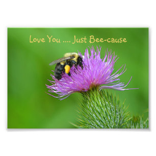 Love You Just Bee-cause Photo Print