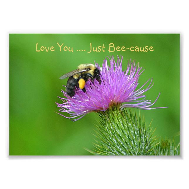 Love You Just Bee-cause Photo Print (Front)