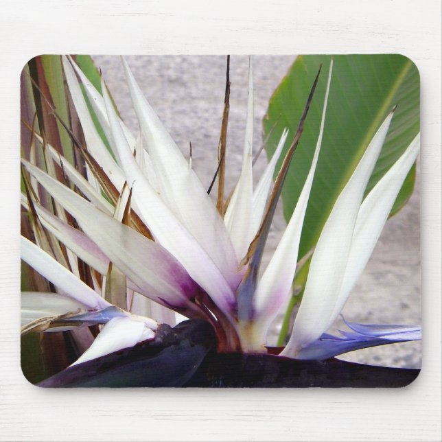 Love You_ Mouse Pad (Front)