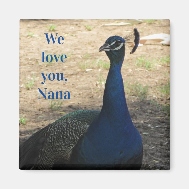 Love You Nana Blue Bird Feathers Photo Peacock Magnet (Front)