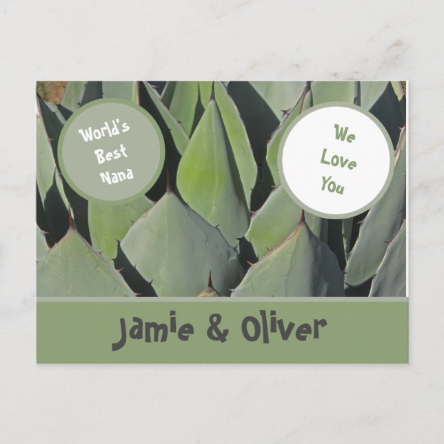Love You Nana Green Agave Leaves Grandma Postcard (Front)