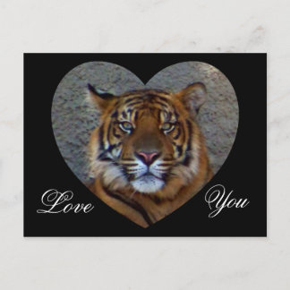 Love You_ Postcard