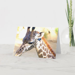 Love You/Sorry/Thinking of you_ Card