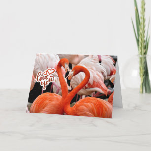 Love You Two Beautiful Flamingo Birds Card