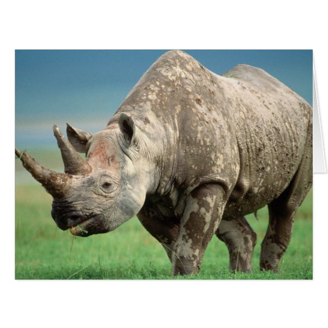 Love Your Armour (Front Horizontal)