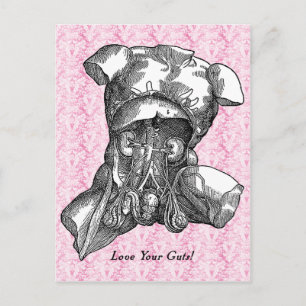 Love Your Guts Postcard