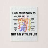 Love Your Kidneys They Are Vital To Life (Nephron)