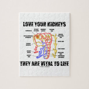 Love Your Kidneys They Are Vital To Life (Nephron) Jigsaw Puzzle