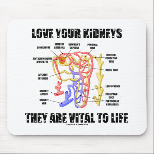 Love Your Kidneys They Are Vital To Life (Nephron) Mouse Pad