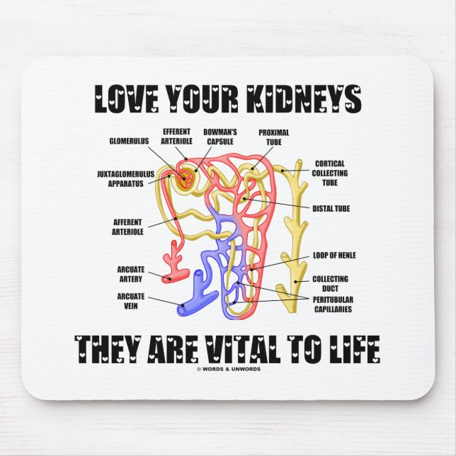 Love Your Kidneys They Are Vital To Life (Nephron) Mouse Pad (Front)