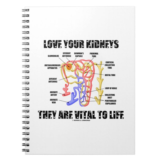 Love Your Kidneys They Are Vital To Life (Nephron) Notebook (Front)