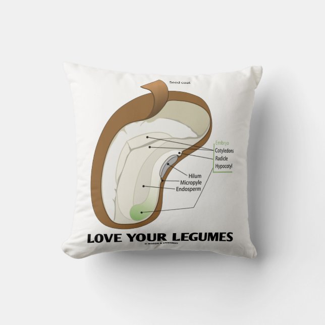 Love Your Legumes Bean Dicotyledon Cushion (Front)