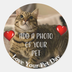 Love Your Pet Day Classic Round Sticker