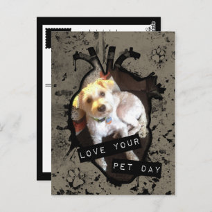 love your pet day postcard