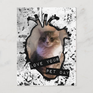 love your pet day postcard
