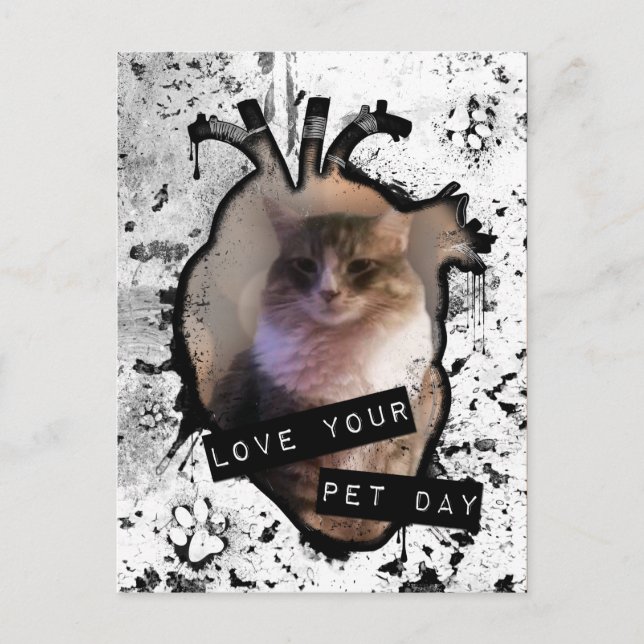 love your pet day postcard (Front)