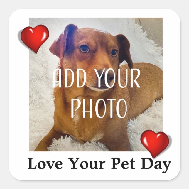Love Your Pet Day Square Sticker (Front)