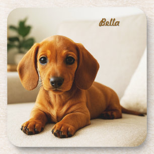 Loveable Dachshund Personalised Coaster Set