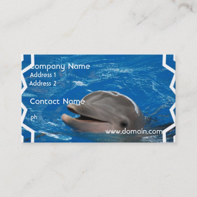 Loveable Dolphin Business Card (Front)