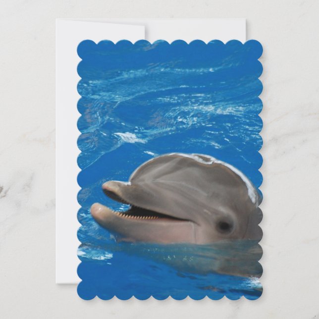 Loveable Dolphin Invitation (Front)