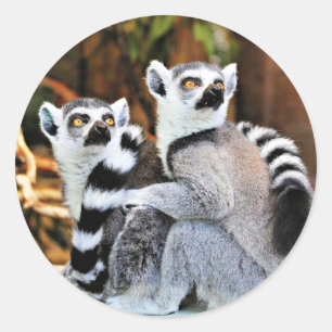 Loveable Lemurs Classic Round Sticker