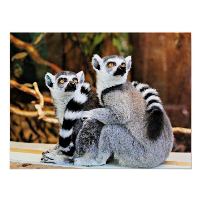 Loveable Lemurs Poster (Front)