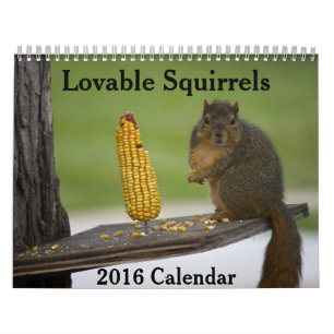 Loveable Squirrels 2016 Calendar