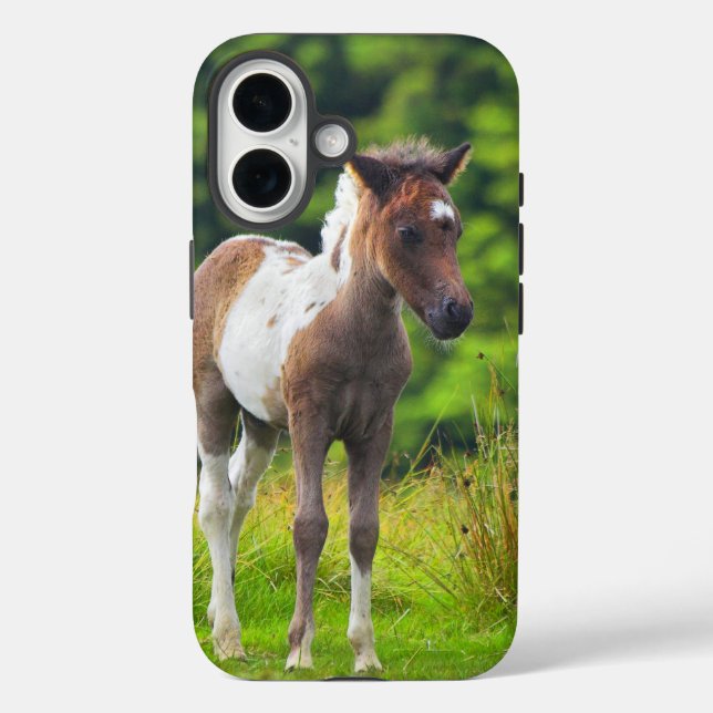 Loveable Standing Dartmoor Pony Foal Case-Mate iPhone Case (Back)