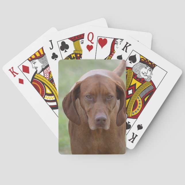 Loveable Vizsla Playing Cards (Back)