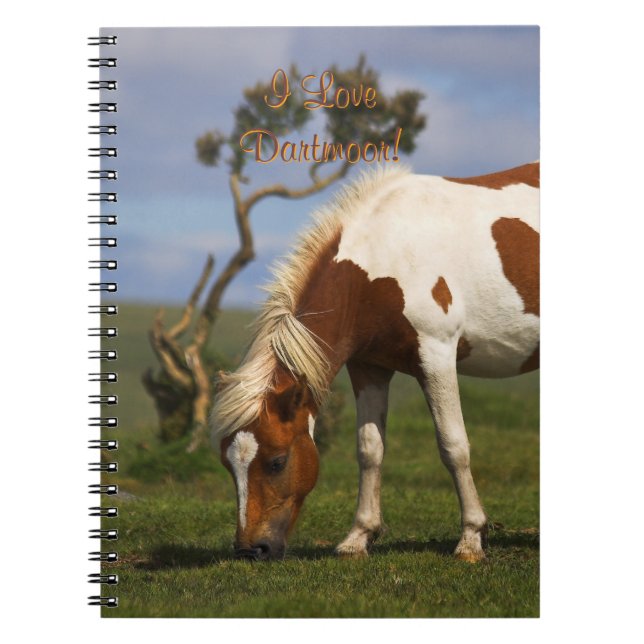 Loveable Wild Pony on Dartmoor Notebook (Front)