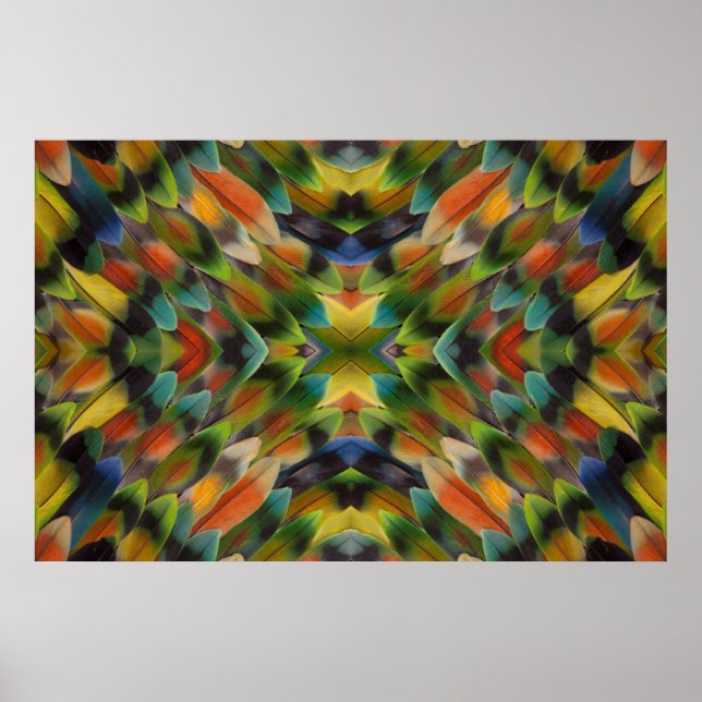Lovebird feather kaleidoscope poster (Front)