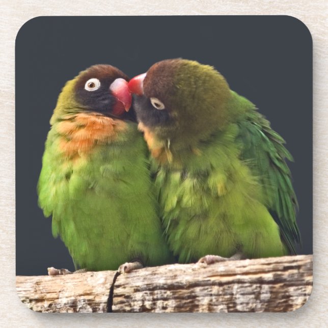 Lovebird Kiss Set of 6 Coasters (Front)