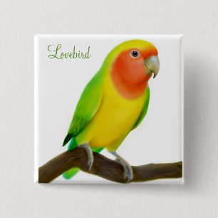 Lovebird Pin