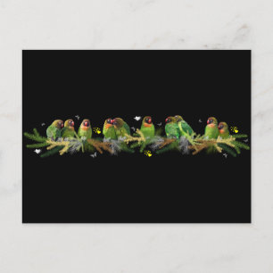 Lovebird Rainbow Postcard