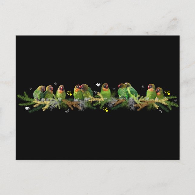 Lovebird Rainbow Postcard (Front)
