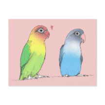 Lovebirds of a Different Colour Postcard