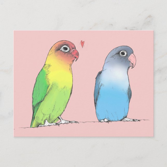 Lovebirds of a Different Colour Postcard (Front)