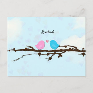 Lovebirds Postcard