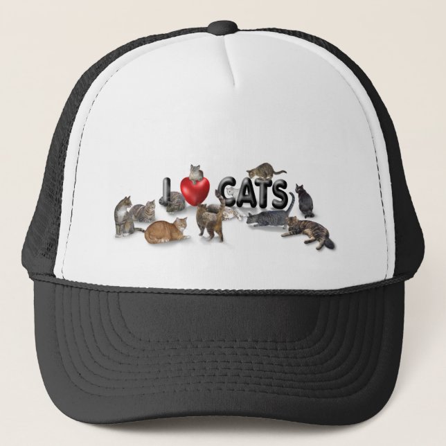 lovecats8.31x3bev trucker hat (Front)