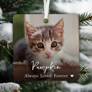 Loved Forever Name Photo Pet Memorial Metal Tree Decoration