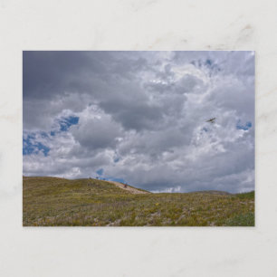 Loveland Pass Hikers, Colorado Postcard