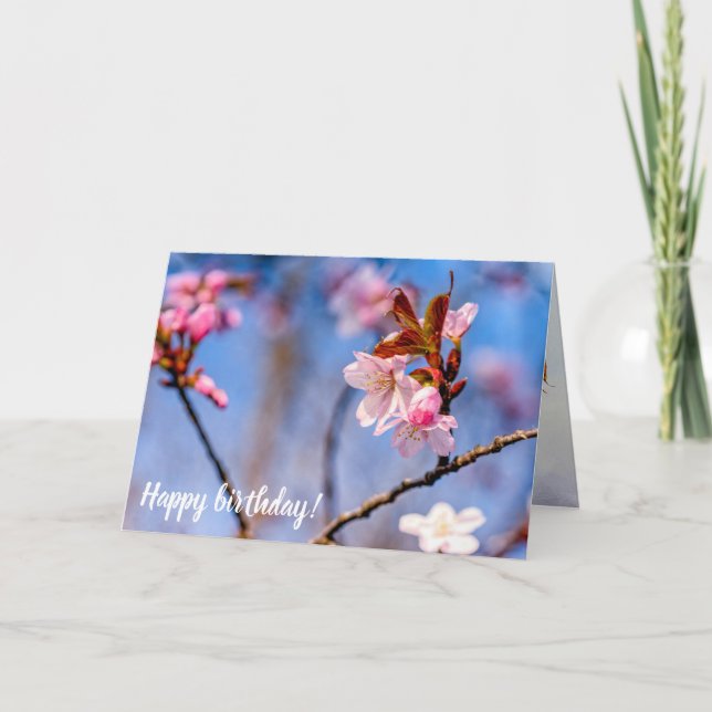 Loveliness Of Fresh Sakura Flowers In Springtime Card (Front)