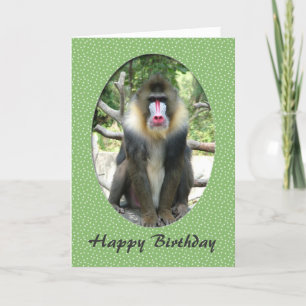 Lovely animal baboon happy birthday card