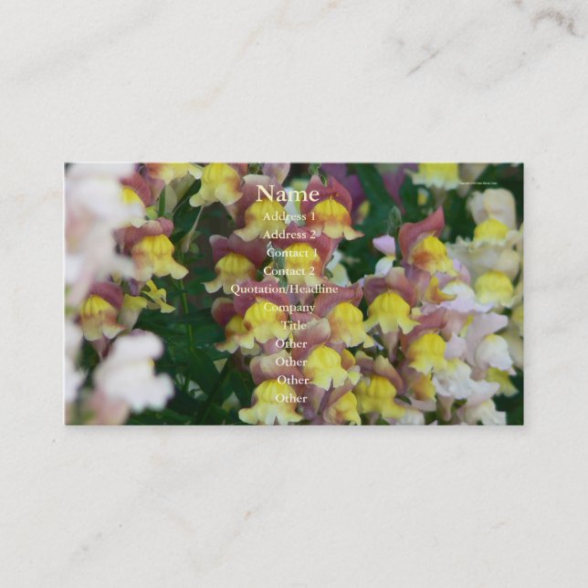 Lovely Assortment Business Card (Front)